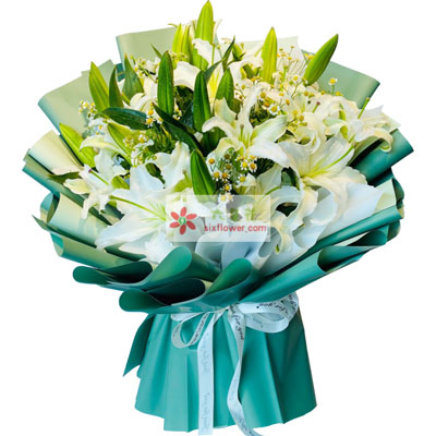 漳州8支白色多头百合洋甘菊，如潮的思念